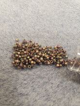 Load image into Gallery viewer, Miyuki Delica 11/0 Greys/Blacks