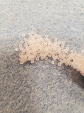 Load image into Gallery viewer, Miyuki Delica 11/0 Pinks