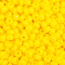 Load image into Gallery viewer, Czech Seed Bead Opaque 11/0