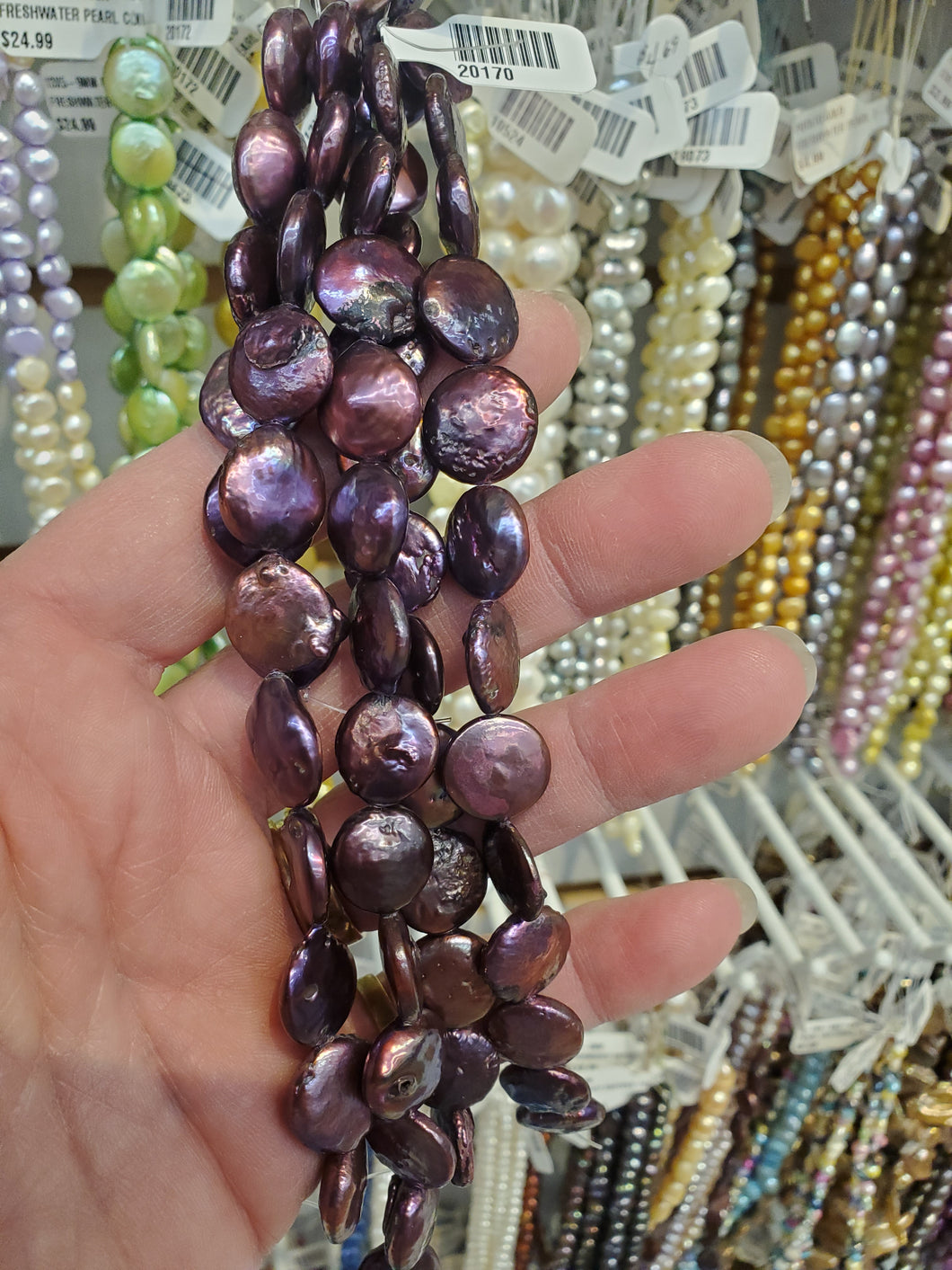 FRESHWATER PEARL COIN 13X5-9MM