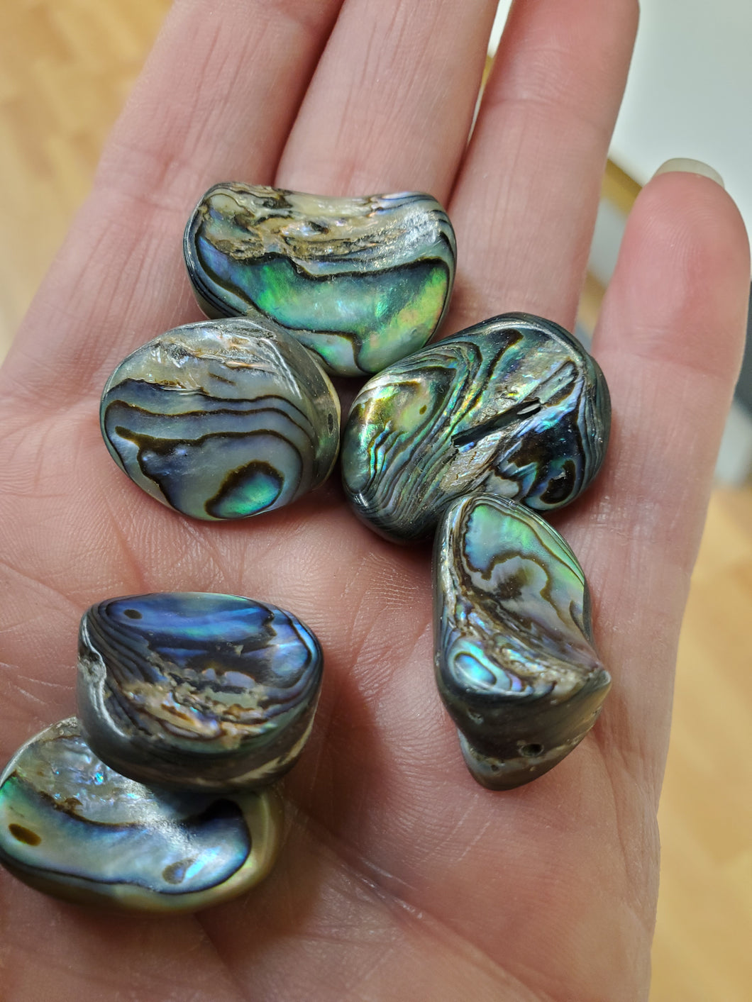 ABALONE BEAD