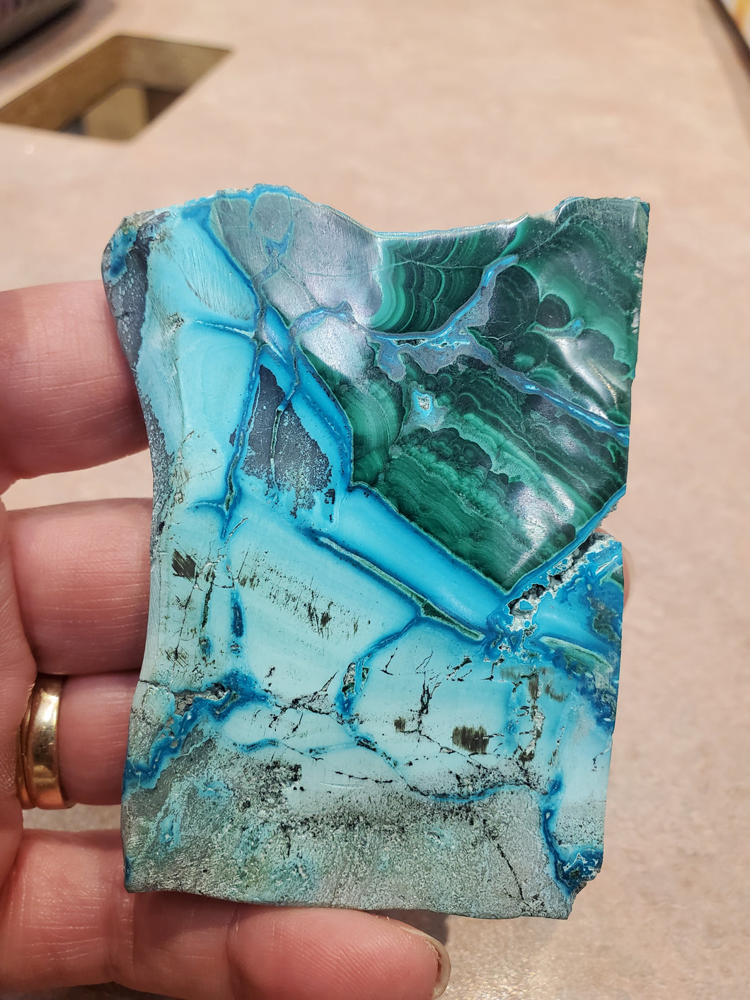MALACOLLA SLICE