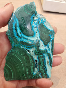 MALACOLLA SLICE