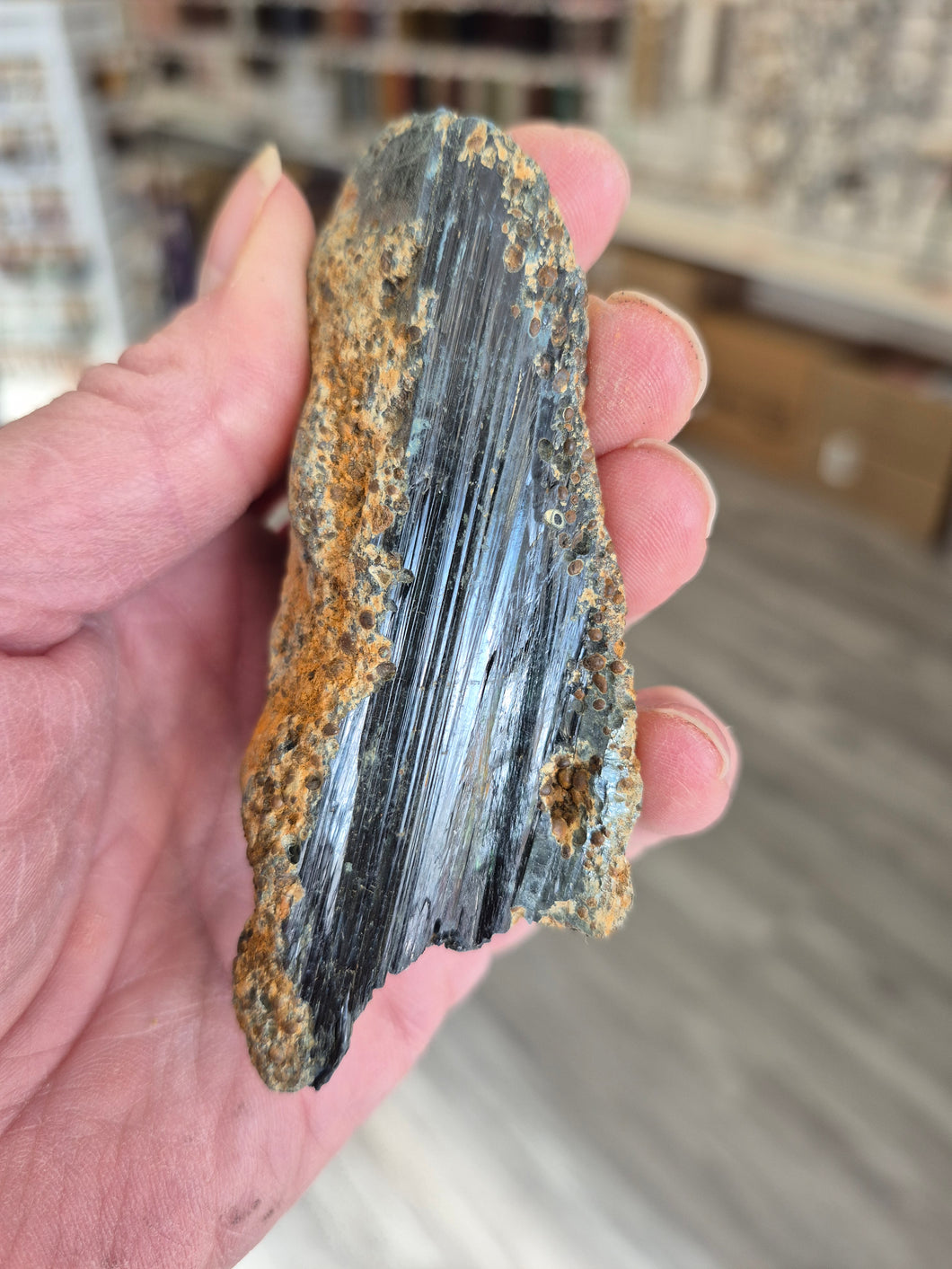 VIVIANITE SHARD