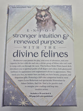 Load image into Gallery viewer, SOUL CATS TAROT DECK
