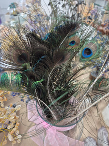 PEACOCK FEATHER 9-14"