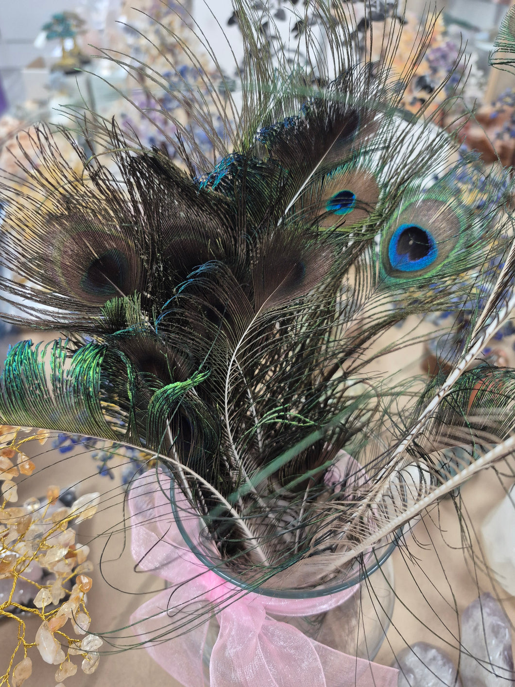 PEACOCK FEATHER 9-14