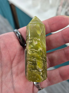SERPENTINE POINT