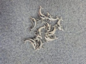 CHARM DOLPHIN