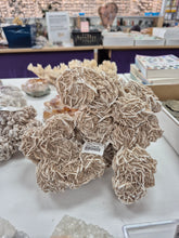Load image into Gallery viewer, DESERT ROSE CLUSTER
