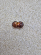 Load image into Gallery viewer, BRASS/RESIN SCREW CLASP
