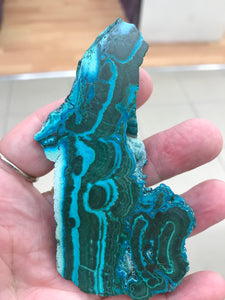 MALACOLLA SLICE
