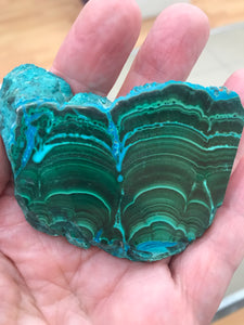 MALACOLLA SLICE
