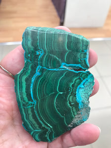 MALACOLLA SLICE