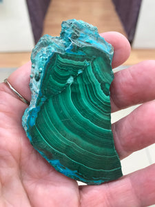 MALACOLLA SLICE