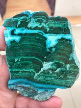 Load image into Gallery viewer, MALACOLLA SLICE
