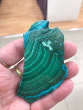 Load image into Gallery viewer, MALACOLLA SLICE
