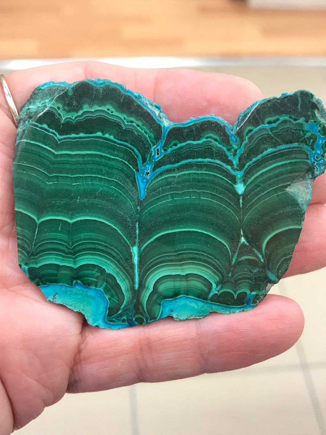 MALACOLLA SLICE