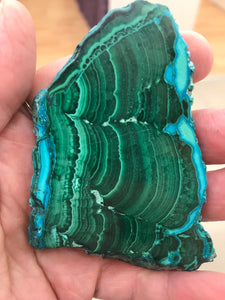 MALACOLLA SLICE