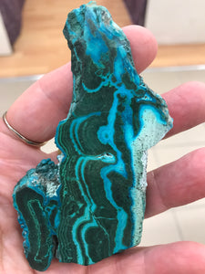 MALACOLLA SLICE