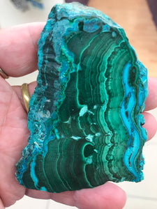 MALACOLLA SLICE