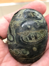 Load image into Gallery viewer, KAMBABA JASPER PALM STONE
