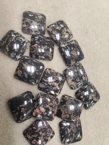 Lilypad Jasper Cabochon