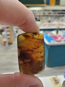 Baltic Amber Front Drilled