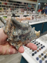 Load image into Gallery viewer, Ocean Jasper Dragon Skull
