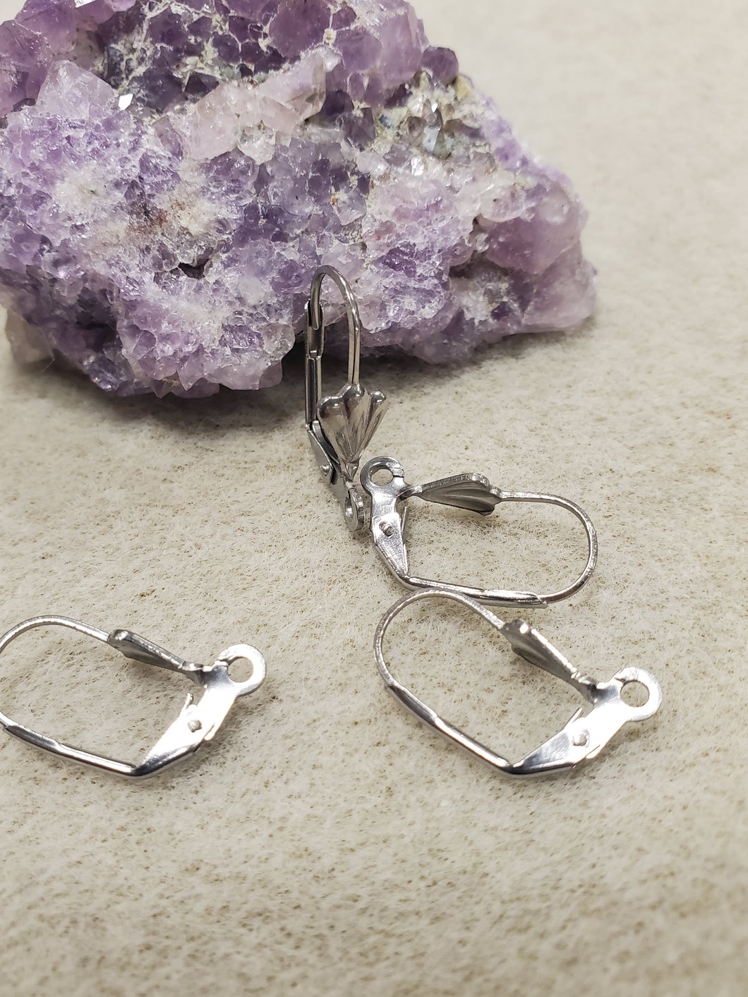 304 STAINLESS LEVERBACK EARRING