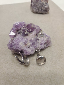 304 STAINLESS LEVERBACK EARRING