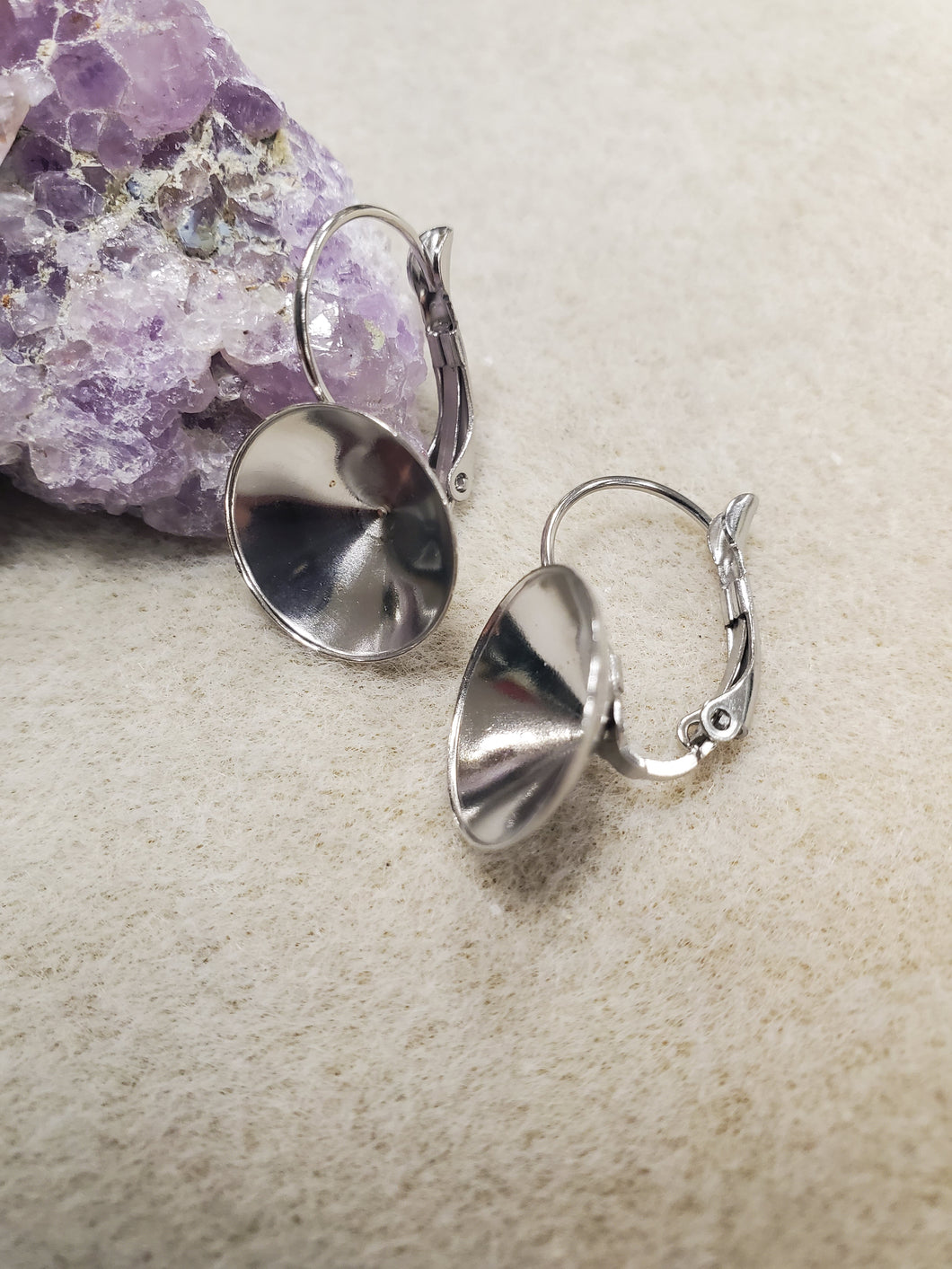 304 STAINLESS LEVERBACK EARRING