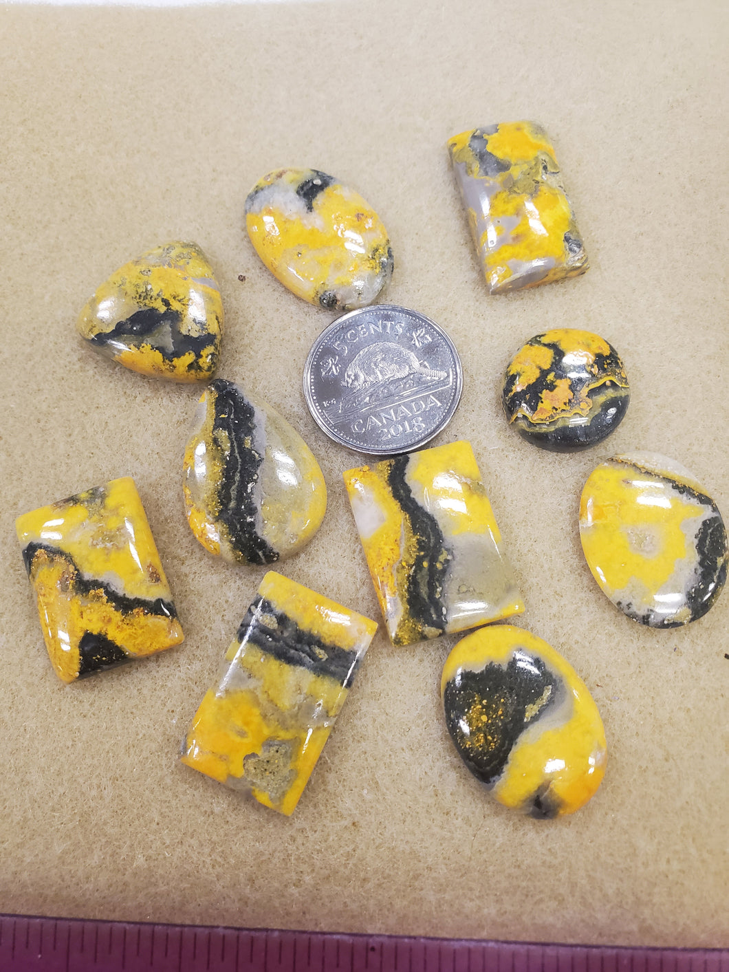 CABOCHON BUMBLEBEE JASPER