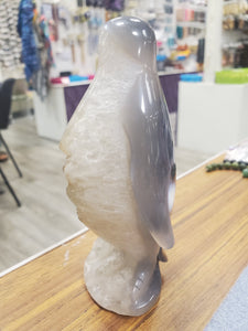 AGATE PENGUIN