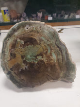 Load image into Gallery viewer, PETRIFIED WOOD SLICE
