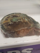 Load image into Gallery viewer, PETRIFIED WOOD SLICE
