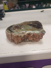 Load image into Gallery viewer, PETRIFIED WOOD SLICE
