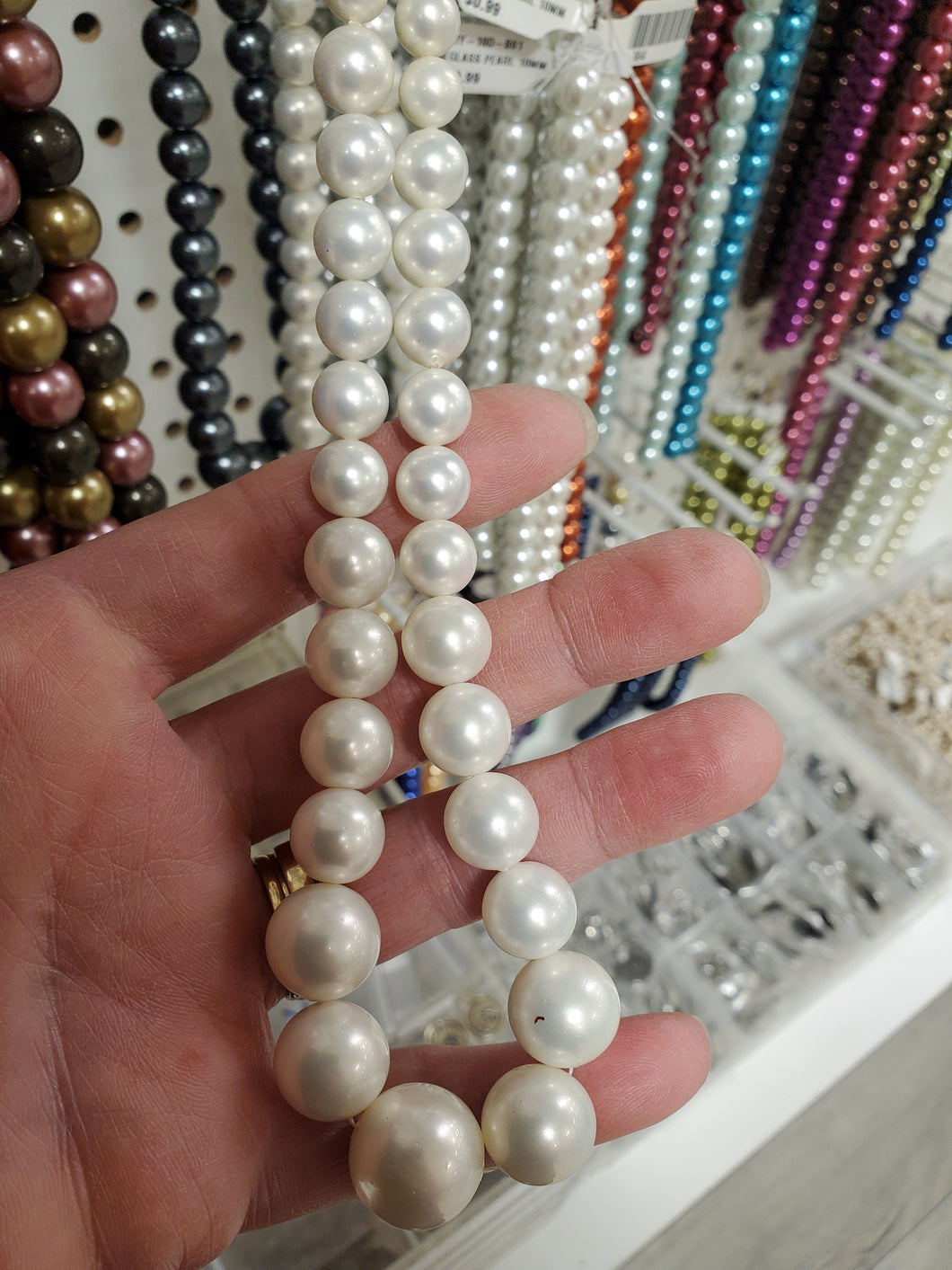SHELL PEARL 8-16MM