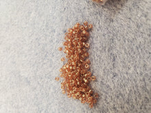 Load image into Gallery viewer, Miyuki Delica 11/0 Ambers/Browns
