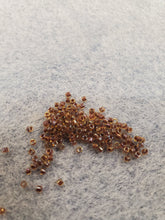 Load image into Gallery viewer, Miyuki Delica 11/0 Ambers/Browns
