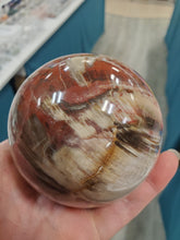 Load image into Gallery viewer, PETRIFIED WOOD SPHERE
