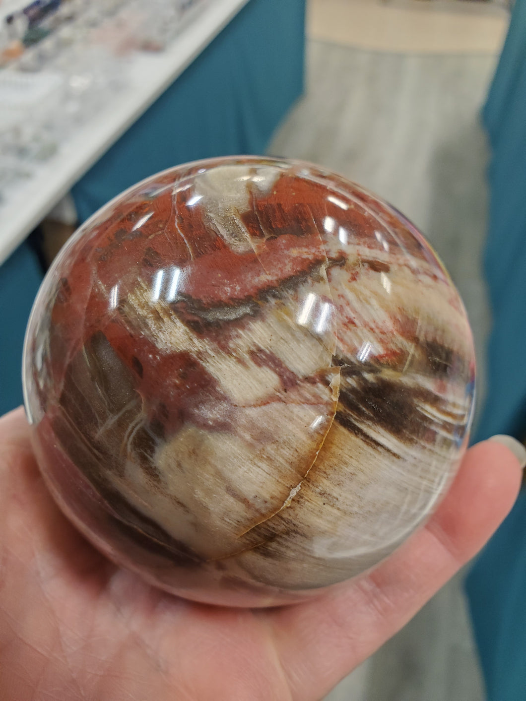 PETRIFIED WOOD SPHERE