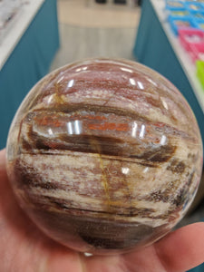 PETRIFIED WOOD SPHERE