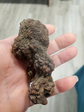 Load image into Gallery viewer, FOSSILIZED DINOSAUR POO
