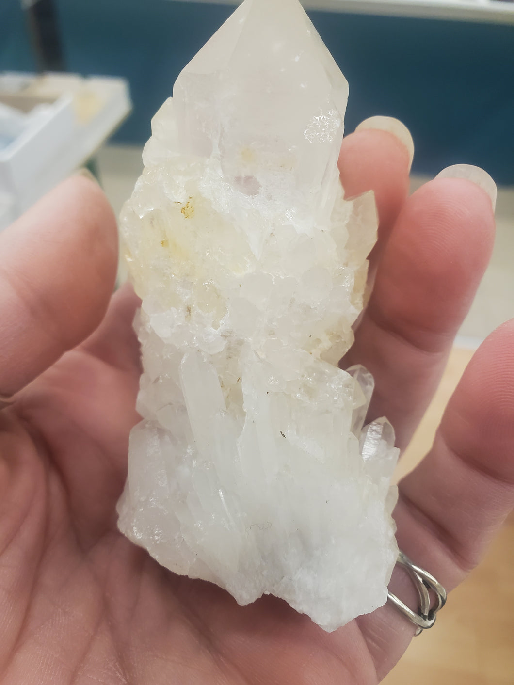 PINEAPPLE QUARTZ CLUSTER