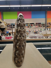 Load image into Gallery viewer, AMMONITE 7 SKULLS
