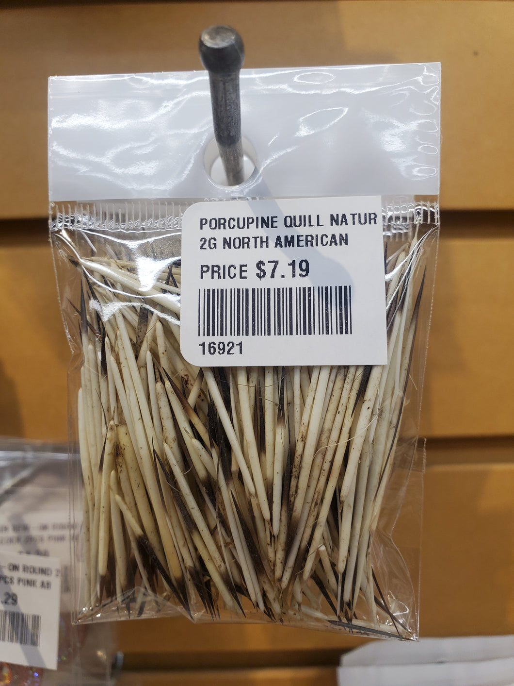 PORCUPINE QUILL NATURAL