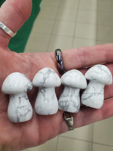 HOWLITE MUSHROOM