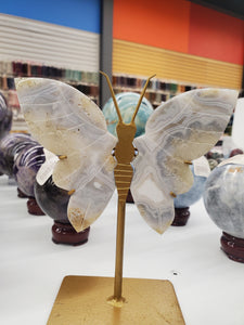 CRAZY LACE AGATE BUTTERFLY