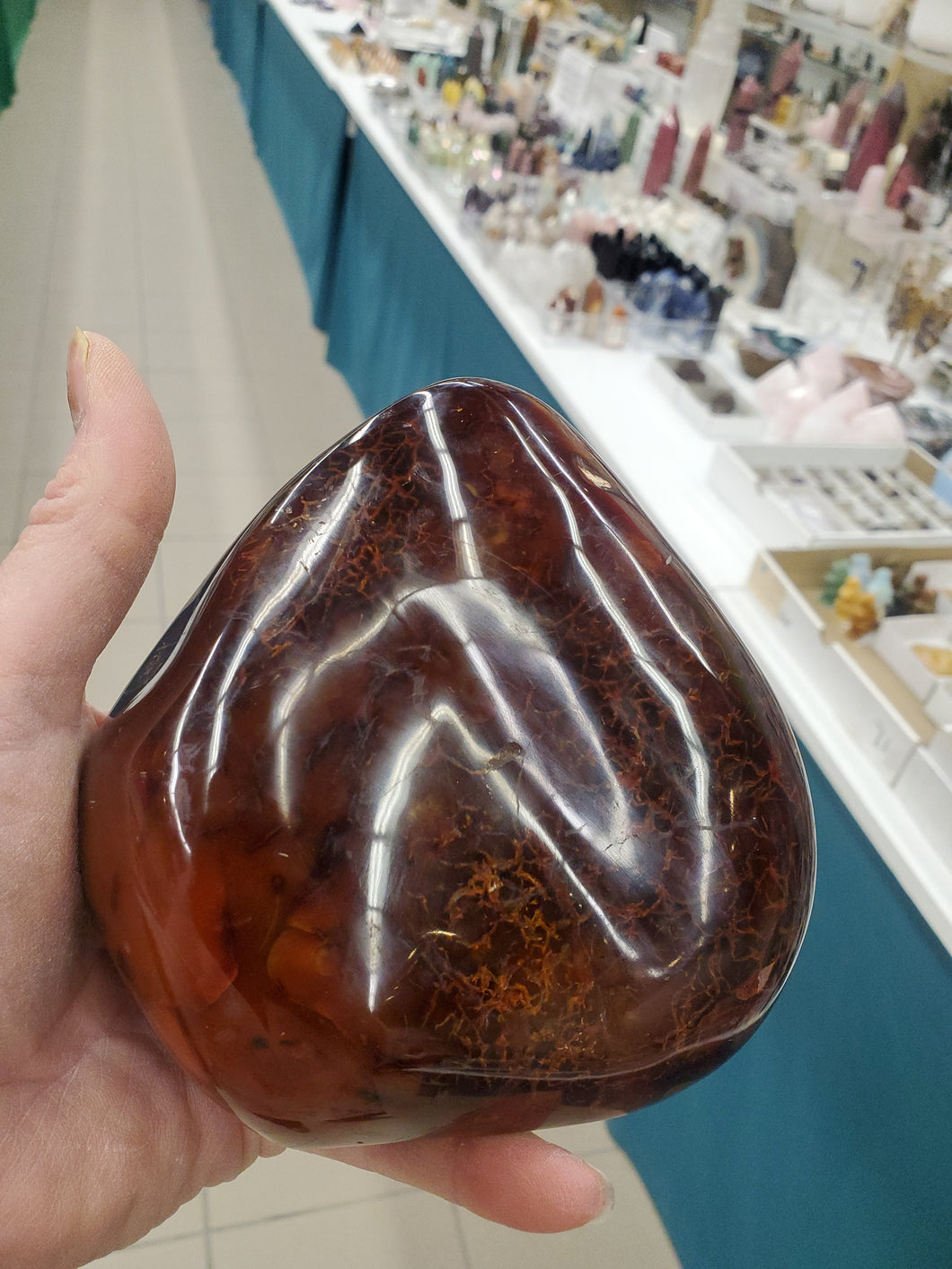 CARNELIAN FREEFORM